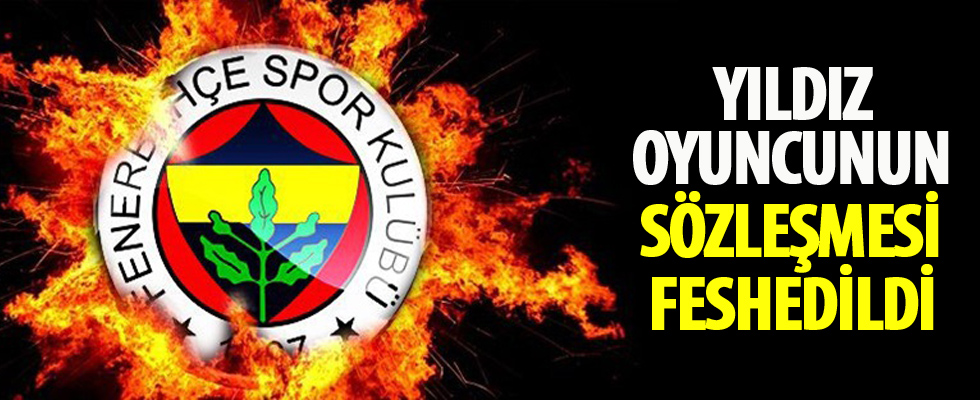 Fenerbahçe Van Persie'nin sözleşmesini feshetti