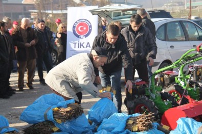 Sırbistan'da Ahududu Üretiminin Geliştirilmesine TİKA Desteği