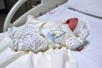 EBRAR - 2017'De Doğan Bebeklere En Fazla Verilen İsimler Belli Oldu