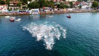 TÜRKİYE YÜZME FEDERASYONU - Büyükşehir'in 2017 Spor Karnesi Yıldızlarla Dolu