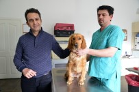 RESİM YARIŞMASI - Doğal Yaşam Merkezi Başarılı Bir Yıl Geçirdi