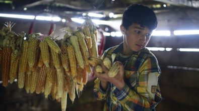 Kısa Film 'Darı'ya Ödül