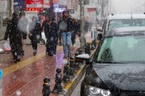 BAHAR HAVASI - Van'da Kar Yağışı