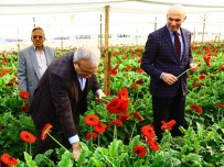 OSMAN BAĞDATLıOĞLU - Antalya'da Çiçek Mezatı