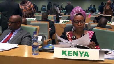 Afrika Birliğinden Üye Ülkelere Vizesiz Seyahat Çağrısı