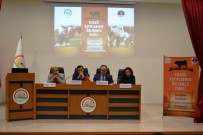 Amaç Buzağı Kayıplarının En Aza İndirilmesi