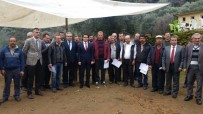 Bozdoğan'da Zeytin Budama Kursu Sertifika Töreni Yapıldı