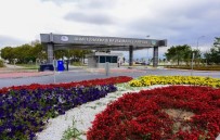 UÇAK TRAFİĞİ - Çanakkale Havayolunda Yüzde 70 Artış Oldu