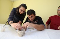 CEMİL MERİÇ - Cemil Meriç Engelsiz Yaşam Merkezi'nin Tanıtımı Yapılacak