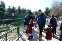 Cumhurbaşkanı Erdoğan'a Hediye Edilen Aslanlar Tavukla Besleniyor