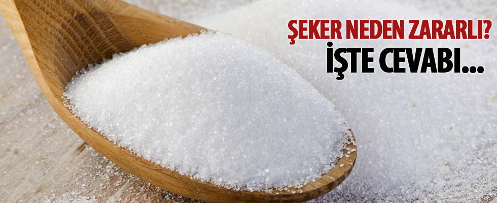 Şeker neden zararlı? İşte cevabı