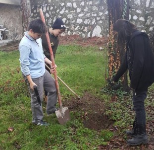 Silahlarını Gömdüler