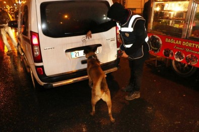 Diyarbakır'da 600 Polis Ve Dedektör Köpeklerle Asayiş Uygulaması