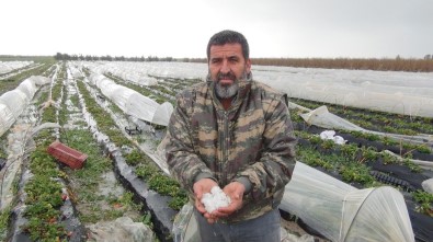 Mersin'de Dolu, Sera Ve Bahçelere Zarar Verdi