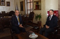 ÇALIK ENERJİ - Aktürk CEO Oldu