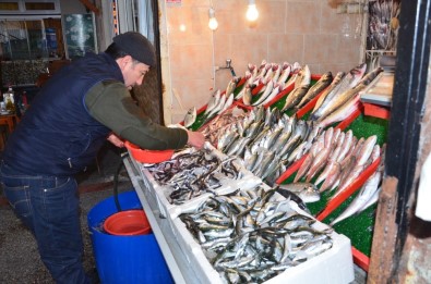 Balık Fiyatları El Yakıyor