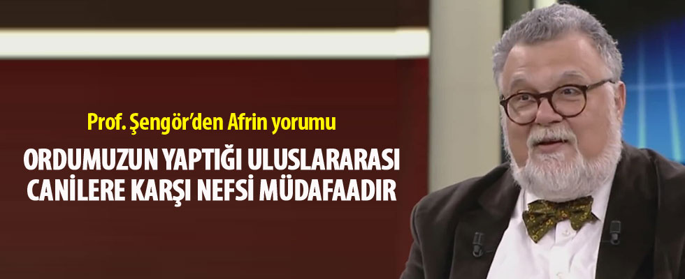 Celal Şengör'den Fatih Altaylı'ya 'Afrin' mektubu