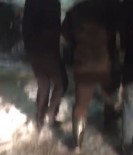 KARAHISAR - Dağda Düşen Adamı Karla Mücadele Ekipleri Sırtında Taşıdı