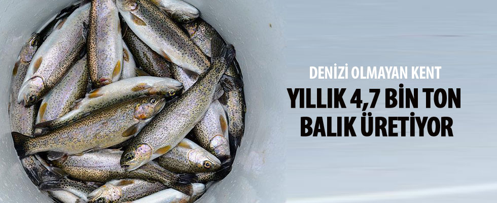 Denizi olmayan kent yıllık 4,7 bin ton balık üretiyor