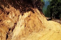 ORMANA - Doğu Karadeniz'de Orman İçi Yollarda Yaban Hayvanları Unutulmuyor