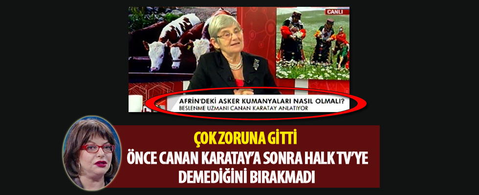 Mine Kırıkkanat deliye döndü