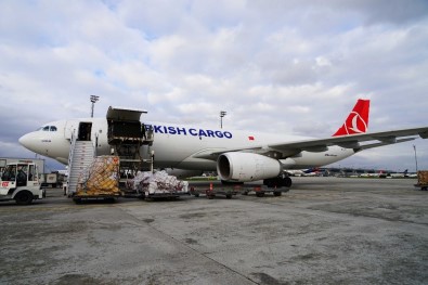 Turkish Cargo Çin'e Penguen Ve Aslan Taşıdı