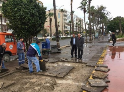 Başkan Seyfi Dingil Sahilde Yapılan Çalışmaları İnceledi