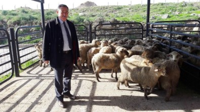 GTHB'dan Ayvalıklı 2 Çiftçiye 60 Bin Liralık Hibe Kredi Desteği