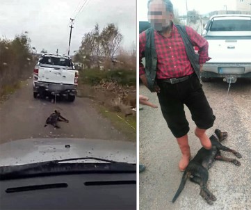 Hayvana Eziyet Bitmek Bilmiyor Açıklaması Yürek Sızlatan Görüntü