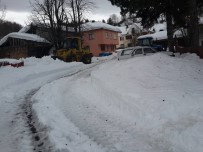 Kastamonu'da 205 Köy Yolu Kar Yağışı Nedeniyle Kapandı Haberi