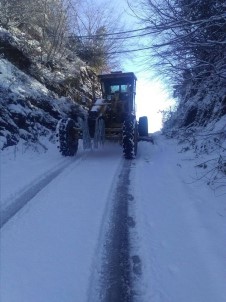 Kdz. Ereğli Belediyesi Mahallelerde Kar Temizliği Yaptı