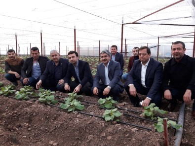 Kumluca'daki Hortum Felaketi