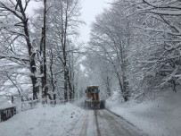 Ordu'da Kar Mücadelesi