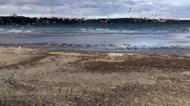 LODOS - Tekirdağ'da Deniz Suyu 15 Metre Çekildi