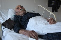 Yanan Evini Kedisine Sarılarak İzleyen Ali Dede Hastaneye Kaldırıldı