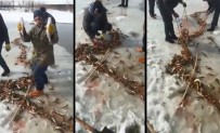 Buz Tutan Derede Balık Avı Bereketli Oldu Haberi