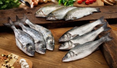 Denizden 160 Milyon Dolar Çıktı