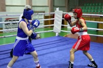 Kadınlar Türkiye Boks Şampiyonası'nda Yarı Final Maçları Yapıldı