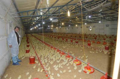 Kanatlı Sektörü Çıkış Yolu Arıyor