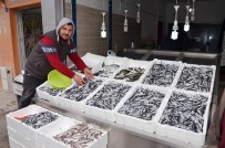 AHMET AYGÜN - Ordulu Balıkçılar Hamsinin Peşine Gürcistan'a Gitti
