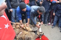 ABDÜLKADIR KONUKOĞLU - Oto Sanayi Esnafından Kınalı Kuzulara Destek