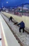 ŞIRINEVLER - Metroda Köpek Kurtarma Operasyonu