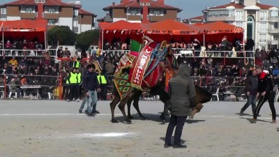 14. Uluslararası Burhaniye Zeytin Ve Zeytinyağı Hasat Festivali