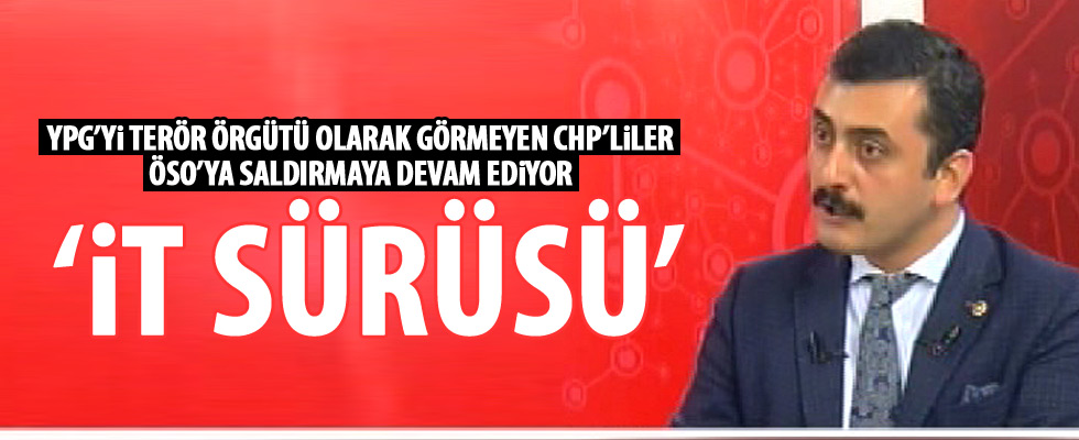 Eren Erdem'den ÖSO hakkında skandal sözler