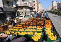 Mehmetçiğe Narenciye Desteği