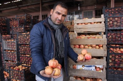 Zivzik Narının Kış Mevsiminde Tüketimi Artıyor