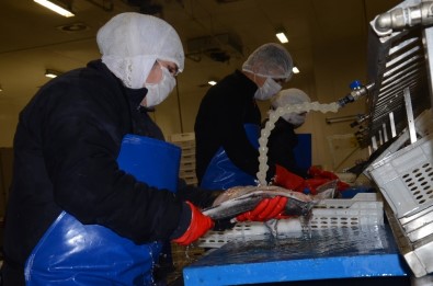 AB Desteği İle Fabrika Kurdu, Şimdi 5 Milyon Liralık İhracat Yapıyor