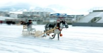 Erzurum'da Atlı Kızak Yarışı