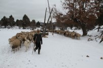 KAR SUYU - Koyun Sürülerinin Kar Üzerinde Su Yolculuğu
