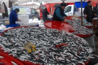 BALIK SEZONU - Balık Fiyatları Pahalı Ama İlgi Yüksek